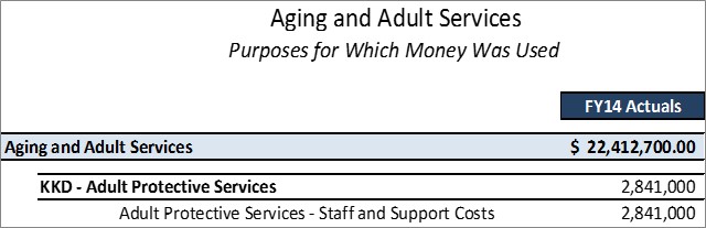 DAAS Adult Protective Services Detailed Purposes